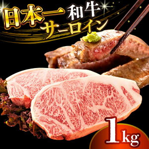 yӂ邳Ɣ[ŁzyA4`A5za T[CXe[LZbg 1kgi250g×4jy MEAT PLUSz[DBS015] T[C T[CXe[L aT[C [낢 Y  a a