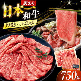 【ふるさと納税】【訳あり】【A4〜A5】長崎和牛しゃぶしゃぶすき焼き750gセット【株式会社 MEAT PLUS】[DBS020] 牛肉 しゃぶしゃぶ 牛しゃぶ 訳あり 訳アリ 長崎和牛 和牛 国産 すき焼き すきやき 国産 国産和牛 牛肉 贅沢 1万円 10000円 台
