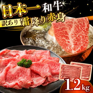 yӂ邳Ɣ[Łzy󂠂zyA4`A5zaԐg~肵ԂԂĂpiEj1.2kg(600g×2p)y MEAT PLUSz[DBS024] 󂠂 A  a Ԃ Ă ƒ