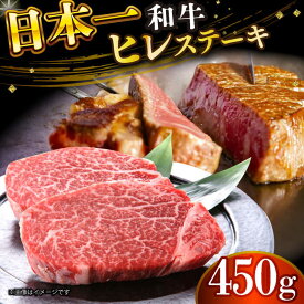 【ふるさと納税】【A4〜A5】長崎和牛 ヒレステーキ 450g（150g×3枚）【株式会社 MEAT PLUS】[DBS032] ヒレ ひれ ステーキ ヒレステーキ 和牛ステーキ 牛ステーキ 和牛 牛肉 国産 贈答 ギフト