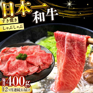 yӂ邳Ɣ[Łzy12ցzyA4`A5zaԂ Ă pi[XEoEj400gy MEAT PLUSz[DBS068] a Ă ₫   Y Ya