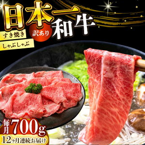yӂ邳Ɣ[Łzy12ցzy󂠂zyA4`A5za Ԃ Ăpi[XEoEj700gy MEAT PLUSz[DBS080] 󂠂 A XCX 炢 