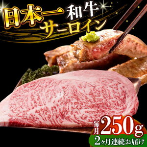 yӂ邳Ɣ[ŁzyS2ցzyA4`A5zaT[CXe[L@250gi250g×1jy MEAT PLUSz[DBS081]