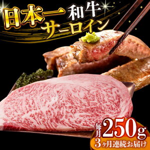 yӂ邳Ɣ[Łzy3ցzyA4`A5za T[CXe[L 250g(250g×1)y MEAT PLUSz[DBS082] T[CXe[L T[C [낢 aXe[L Xe[L ā[ 