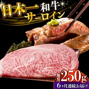 yӂ邳Ɣ[ŁzyS6ցzyA4`A5zaT[CXe[L@250gi250g×1jy MEAT PLUSz[DBS083]