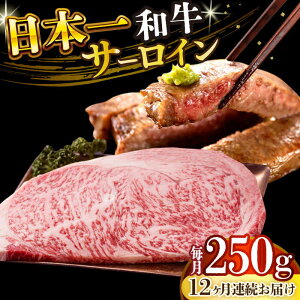 yӂ邳Ɣ[ŁzyS12ցzyA4`A5zaT[CXe[L@250gi250g×1jy MEAT PLUSz[DBS084]