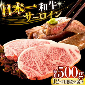 yӂ邳Ɣ[ŁzyS12ցzyA4`A5zaT[CXe[LZbg@500gi250g×2jy MEAT PLUSz[DBS088]