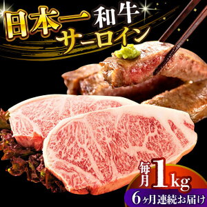 yӂ邳Ɣ[ŁzyS6ցzyA4`A5zaT[CXe[LZbg@1kgi250g×4jy MEAT PLUSz[DBS091]
