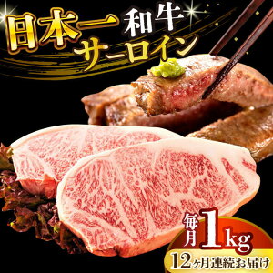 yӂ邳Ɣ[ŁzyS12ցzyA4`A5zaT[CXe[LZbg@1kgi250g×4jy MEAT PLUSz[DBS092]
