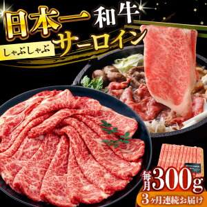 yӂ邳Ɣ[Łzy3ցzyIʁzyA4`A5za T[C Ԃ Ăp 300gy MEAT PLUSz[DBS094] T[C [낢 aT[C  a 