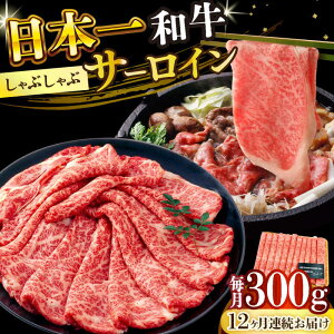 yӂ邳Ɣ[Łzy12ցzyIʁzyA4`A5za T[C Ԃ Ăp 300gy MEAT PLUSz[DBS096] a T[C [낢  ґ Y Ya 
