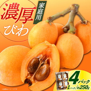 �y�ӂ邳�Ɣ[�Łz�y��s�\��z�т� 4�p�b�N ���茧 �r�� ���l�꒬ �哇 �y�_��_���z�y2026�N6�������z[DBT006] ���f �{ �V�N �ƒ�p ���J�� �t���[�c �ʕ� ���� ���l�� �Z��