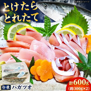 �y�ӂ邳�Ɣ[�Łz�y�Ƃ�����Ƃꂽ�āz �n�K�c�I�i�������E�u�ԗⓀ�ρj ���E�t��H�ה�׃Z�b�g�v600g�ȏ�i�e300g 2�p�b�N�j ���茧 ���l�꒬ �� �Ⓚ �t�� �H�ה�� �� �J�c�I �� [DBY013]