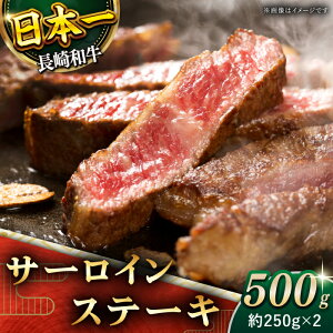yӂ邳Ɣ[ŁzyɌIz a T[CXe[L v500g (250g×2)yz [QBD011]   ē BBQ o[xL[ j a LO Ă Mtg 蕨 傤 