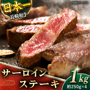 yӂ邳Ɣ[ŁzyɌIz a T[C Xe[L v1kg (250g×4)yz [QBD012]   ē BBQ o[xL[ j LO a Ă Mtg 蕨 傤 