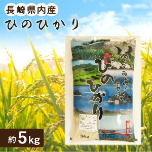yӂ邳Ɣ[Łzyk Ic gpz 茧Yu Ђ̂Ђ v5kgỹ^iJz [QAM014]     ͂  B   Mtg 蕨 10000~ 1~ 