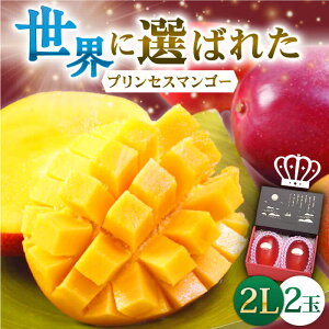 yӂ邳Ɣ[Łzys\zuSn悢̉ʓIvnv~A vZX }S[ 2L×2 yxt[ct@[z [QAT007] n }S[ ʕ t[c fU[g Mtg 