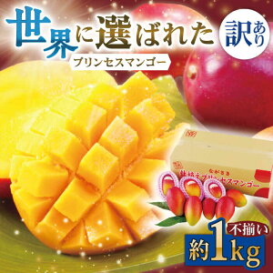 yӂ邳Ɣ[Łzys\zy󂠂zySn悢̉ʓIznv~A vZX }S[ s 1000gyxt[ct@[z [QAT009] ʕ t[c fU[g Mtg 