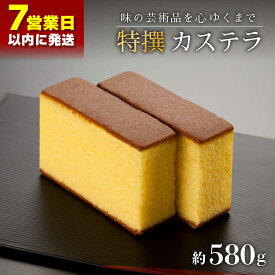 【ふるさと納税】【”味の芸術品”を、心ゆくまで】 特撰 カステラ［1号］約580g【文明堂総本店】 [QAU003] 長崎 かすてら お菓子 スイーツ 洋菓子 お土産 贈り物 プレゼント ギフト クリスマス おせち お祝い 記念日 和 お取り寄せ 14000円 1万4千円