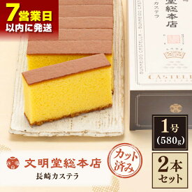 【ふるさと納税】【 こだわり の 逸品 】 長崎カステラ ［2号］（1号10切入×2本入）【文明堂総本店】 [QAU019] 長崎 かすてら 菓子 スイーツ 洋菓子 お土産 贈り物 プレゼント ギフト クリスマス おせち お祝い 記念日 和 カット お取り寄せ 17000円 1万7千円