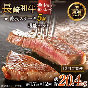 yӂ邳Ɣ[ŁzyS12ցzu󏭕 Hה va ґ Xe[L 5 \Zbg v20.4kg i1.7kg/jyz [QBD070]   q T[C Uug Vg[uA