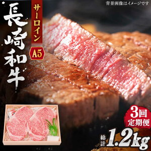 yӂ邳Ɣ[ŁzyS3ցza T[C Xe[L v1.2kg (400g/)y OGAWAz[QBI009]  Y a T[CXe[L Ă BBQ o[xL[ Mtg 蕨 a 
