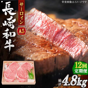 yӂ邳Ɣ[ŁzyS12ցza T[C Xe[L v4.8kg (400g/)y OGAWAz[QBI011]  Y a T[CXe[L Ă BBQ o[xL[ NX}X  a