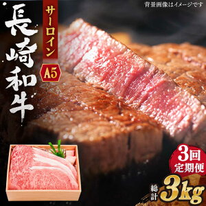 yӂ邳Ɣ[ŁzyS3ցza T[C Xe[L v3.0kg (1.0kg/)y OGAWAz[QBI012]  Y a T[CXe[L Ă BBQ o[xL[ NX}X  a