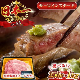 【ふるさと納税】【選べる容量】【A4〜A5】長崎和牛サーロインステーキ　(250g or 500g or 1kg）【株式会社 MEAT PLUS】[QBS013] 長崎 長崎和牛 牛肉 肉 サーロイン ステーキ 贅沢 a4 a5 冷凍 おすすめ 国産 九州 ブランド牛 黒毛和牛 ロース 1万円 2万円 3万円 4万円代