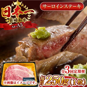 yӂ邳Ɣ[ŁzyS3ցzyA4`A5zaT[CXe[L@250gi250g×1jy MEAT PLUSz[QBS069]