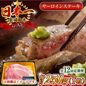 yӂ邳Ɣ[ŁzyS12ցzyA4`A5zaT[CXe[L@250gi250g×1jy MEAT PLUSz[QBS071]
