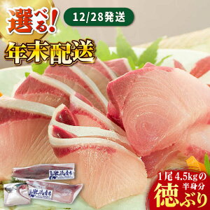 yӂ邳Ɣ[Łzy12/26`28zyԎwK{zyʌzu tB Ԃ gdāi4.5kgx̔gjyہz [RAC003] Ԃ u  Ԃ肵 Ԃ hg N CN 