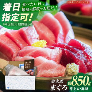 yӂ邳Ɣ[ŁzyőzyZŎ܁`IzY }O Ⓚ ubN g Ԑg 850g ܂  CN  hg  TV~ yہz [RAC010] Xs[h ŒZ