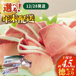yӂ邳Ɣ[Łzy12/26`28zyԎwK{zyʌz u tB Ԃ ɎO i4.5kgxjyہz [RAC020]Ԃ u  Ԃ肵 Ԃ hg N CN  Y 