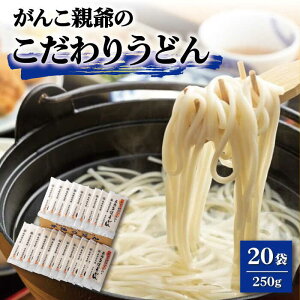 yӂ邳Ɣ[ŁzyeʁIRVIz񂱐ê肤ǂ 250g×20 ܓǂ ǂ   ۑH Ɩp e y{ˁz [RAO011]