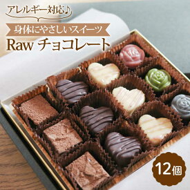 【ふるさと納税】【アレルギー対応♪身体にやさしいスイーツ】Raw チョコレート 12個 チョコ チョコレート スイーツ お菓子 菓子 ギフト 【holoholo】 [RAZ001]