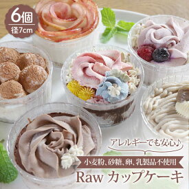 【ふるさと納税】【小麦粉、砂糖、卵、乳製品不使用！】Raw カップケーキ 6個 カップ ケーキ スイーツ お菓子 菓子 ギフト 【holoholo】 [RAZ004]