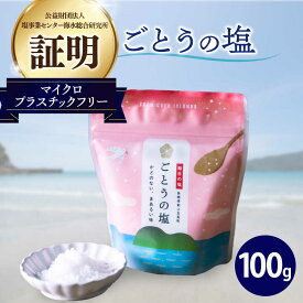 【ふるさと納税】ごとうの塩 100g 【虎屋】[RBA072]