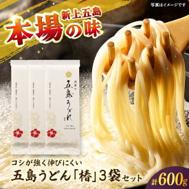 【ふるさと納税】【五島うどん】 五島うどん「椿」 200g×3束セット 【虎屋】[RBA078]