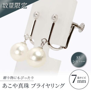 yӂ邳Ɣ[Łzy^쐶YʑS1ʂ̒肩炨͂Iz^ i7mmjuCO SViVo[jyc^z [RBB011] ^ p[ ANZT[ WG[ CO Zb