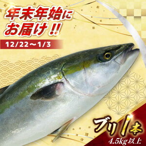 yӂ邳Ɣ[Łzy12/22`1/3ɂ͂zywK{zu 1{@(4.5Lȏ) yЂ܂z[RBK009]