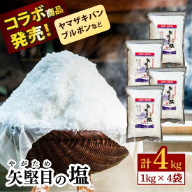 【ふるさと納税】【リピーター続出の超売れ筋商品】五島列島の澄んだ海水を炊き上げてできた 漬物用塩 1kg×4袋 梅干し 漬物 塩 しお 業務用 大容量 ソルト 手作り 常温 海 海水 【やがため】 [RBM005]