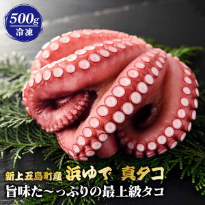 yӂ邳Ɣ[Łzy|`Ղ̍ŏ㋉^Rz ܓ l䥂 ^^R Ⓚ 500gyJ~eBo[z [RBP017]