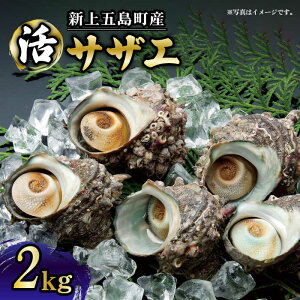 yӂ邳Ɣ[ŁzyRRHƔZȎ|Iz VܓY VN  TUG 2kg yJ~eBo[z [RBP019]