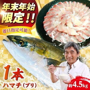 �y�ӂ邳�Ɣ[�Łz�y�ܓ��񓇒����z �{�B�͂܂� ��{���́i��4.5kg�j�y�L�����Y�z[RBV008]