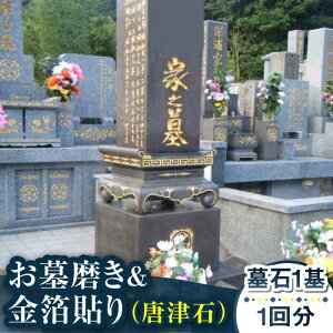 yӂ邳Ɣ[Łzy茧Vܓz斁&\iÐ΁j   | | s T[rX ~  yyz[RCB008]