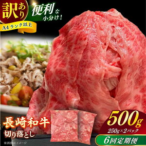 yӂ邳Ɣ[ŁzyS6ցziy󂠂zaioAA[X̂ꂩj500g ؂藎Ƃ 250g×2P  yЎz[RCE023]