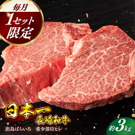 【ふるさと納税】【日本一の和牛】【月に1セット限定】長崎和牛 出島ばらいろ ヒレ まるごと1本 3kg前後 【合同会社　肉のマルシン】[RCI007]