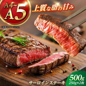 yӂ邳Ɣ[Łza T[C Xe[L 250g×2 yKRAZY MEATz A5 A4 Ⓚ a   BBQ[RCQ003]