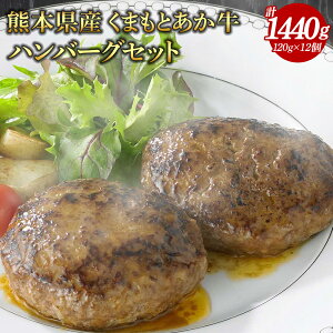 yӂ邳Ɣ[Łz F{Y܂Ƃno[OZbg 120g×12 v1440g  no[O y a    Hi Ⓚ Hi ȒP F{ Y  yVX[p[SALE 9